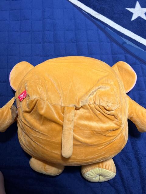 gƃWF[ t@jA[gʂ  Aj/R~bN/LN^[ 
