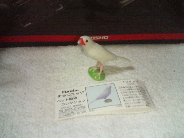 t^  ybg1 @ u`E             zr[ 