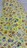 Ap}~pbg100~205p CG[n