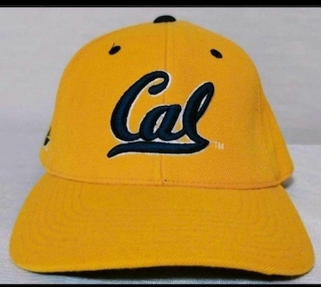 JtHjAw UC BERKELEY Lbv  california C EGXgR[Xg university
