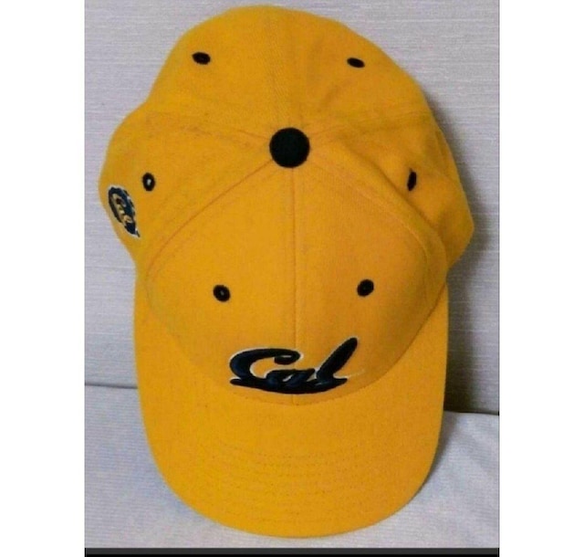 JtHjAw UC BERKELEY Lbv  california C EGXgR[Xg university  jt@bV 