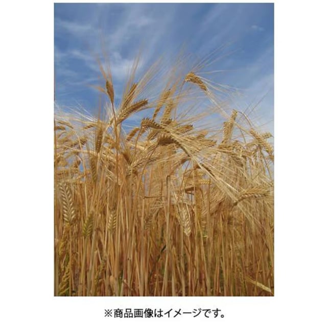 Vi Oa   20x 1800ml [Ē]  4010  O/hN 