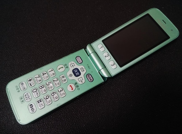 docomo 炭炭z F-02J ~gO[ SIMbNς  Ɠd/AV 