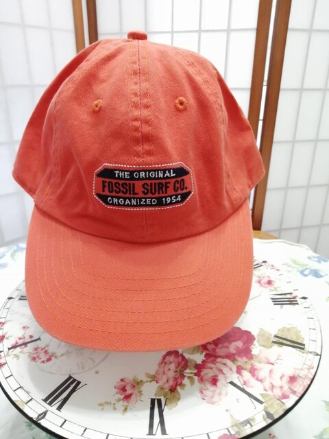 Lbv@[FOSSIL]   jt@bV 