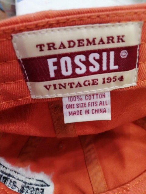 Lbv@[FOSSIL]  jt@bV 