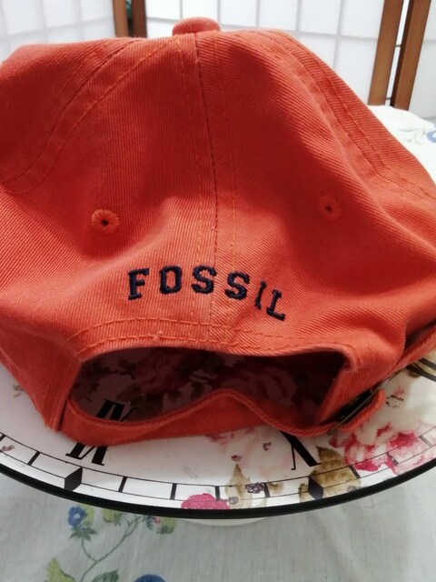 Lbv@[FOSSIL]  jt@bV 