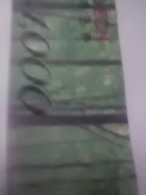 CI1000~   `Pbg/ 