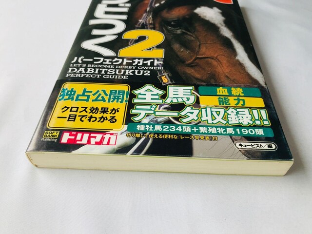 _rQ@_[r[n낤I@p[tFNgKCh@U{@Ł@с@nKL Let's Become Derby Guide  Q[{/\tg 