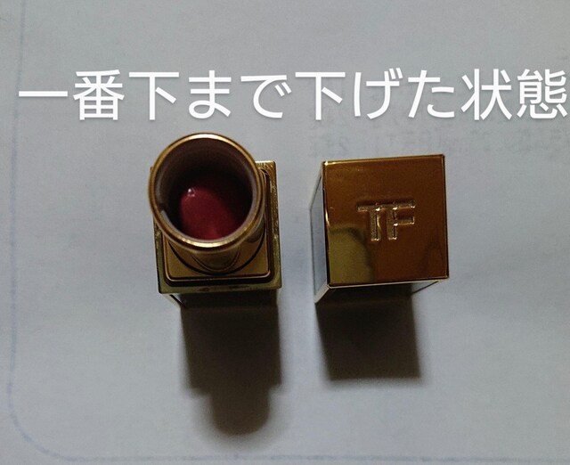  TOM FORD gtH[h r[eB[ g bvX Ah {[CY#47 CARY bv [sNn