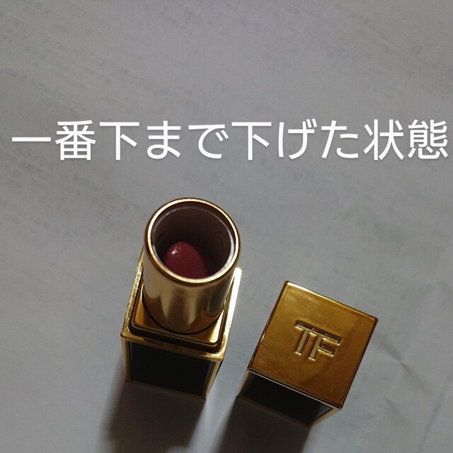  TOM FORD gtH[h r[eB[ g bvX Ah {[CY#47 CARY bv [sNn