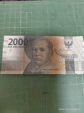 ChlVA2000sA