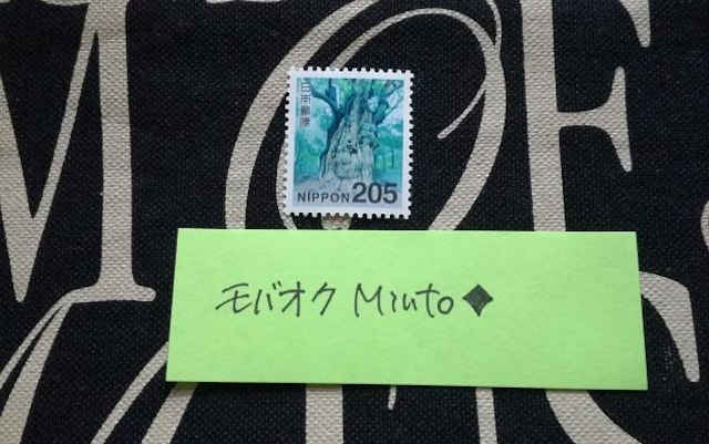gp205~ʐ؎1oyC}   zr[ 