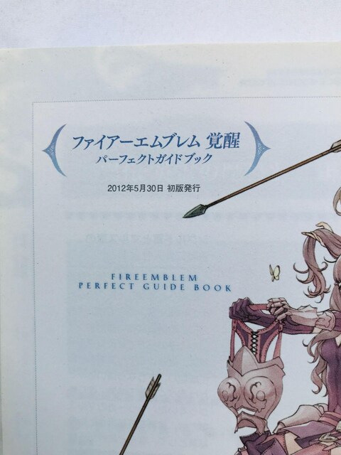 t@CA[Gu@o@p[tFNgKChubN@U{@Ł@Fire Emblem Awakening Guide 3DS  Q[{/\tg 