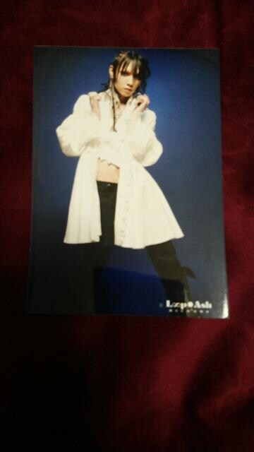 VnSANA2006NA[ʇAMASK/Kin󏭑   ^gObY 