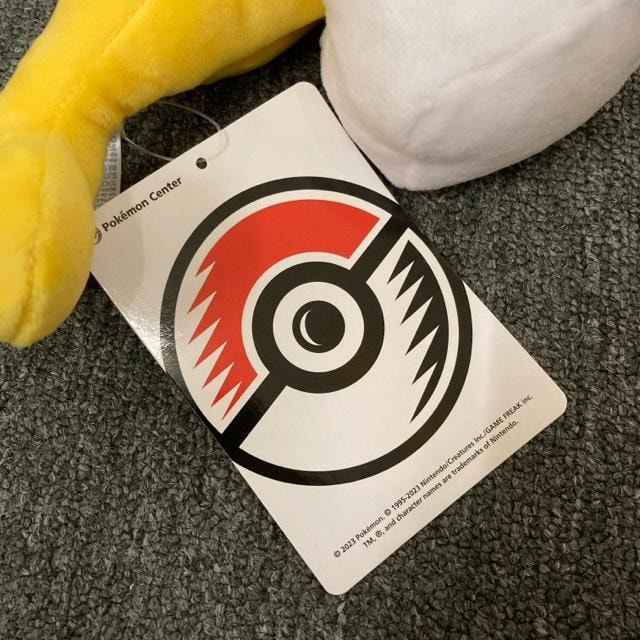  Vi |PbgX^[ ʂ V^c ̂т   