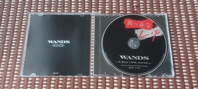WANDSu^ԂLip ʏՁv  CD/DVD/rfI 