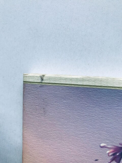 tFCobgfBA ̗a ݒ莑W PS  Favorite Dear Pure White Prophet  Q[{/\tg 