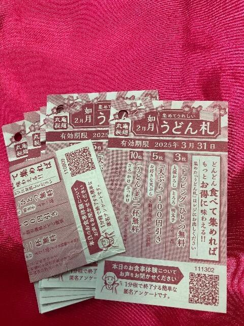 ʗX֑@ۋTˁ@ǂD@10@AA@Ԃǂ420~A͓VՂAgbsO   `Pbg/ 