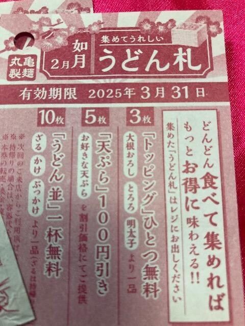 ʗX֑@ۋTˁ@ǂD@10@AA@Ԃǂ420~A͓VՂAgbsO  `Pbg/ 