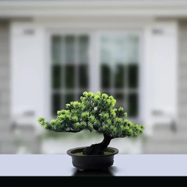 i1190~lHAlH~́AƂ̑AoX[̖{IT_Ƃ̑̕ɎgpA24.13cm  CeA/Ct 