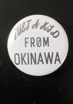 JUST A KID FROM OKINAWA t@ g^@ߔeHAISAI@OKINAWA LIFE Ȃ񂿂イ
