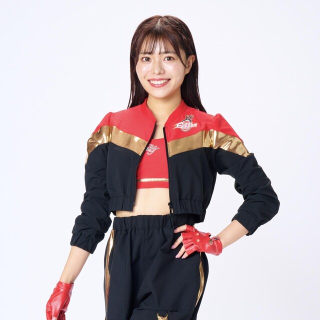 SEIKA MTC胆jtH[xA