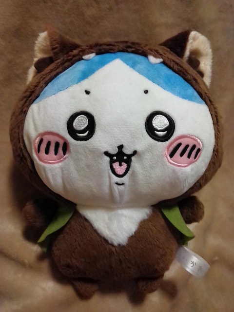 큡BOOIBIGʂ IIJ~ȃn` 