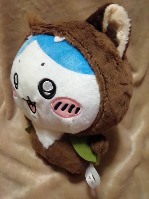 큡BOOIBIGʂ IIJ~ȃn`