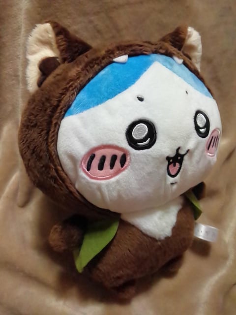 큡BOOIBIGʂ IIJ~ȃn`