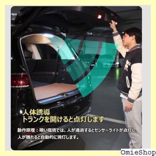 SEKIDARԎ Ԃ̃[t̃Cg LEDZ ԓƖ  zHsv x Px  310  /oCN