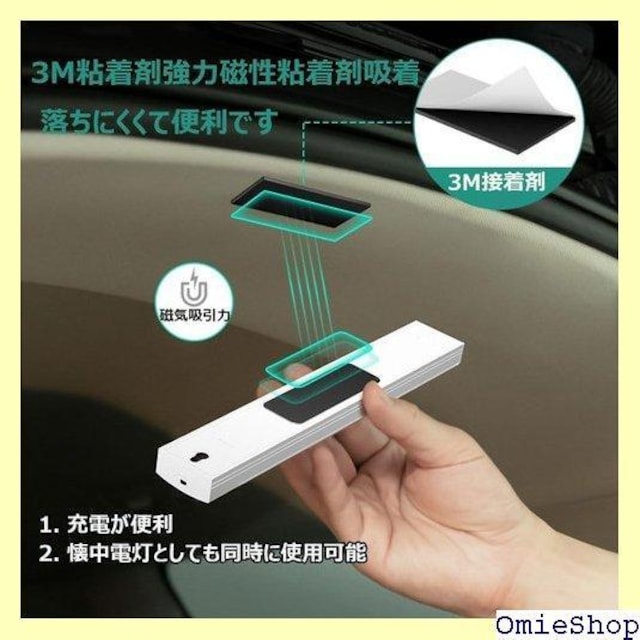 SEKIDARԎ Ԃ̃[t̃Cg LEDZ ԓƖ  zHsv x Px  310  /oCN