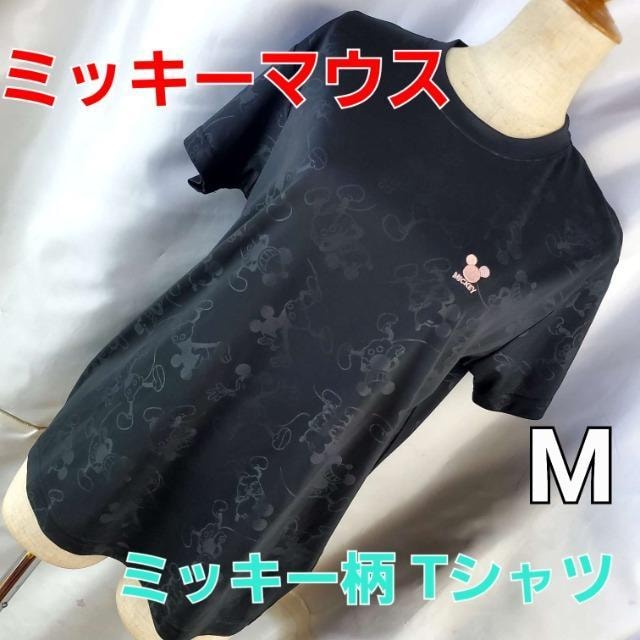 ݁676~bL[}EXITVcM   t@bV 