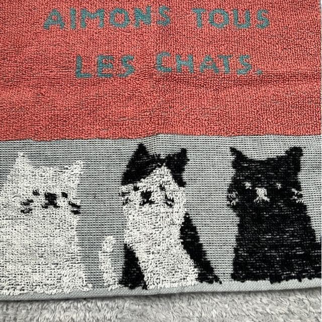 iVijLEObYi2_Zbgj  t@bV 