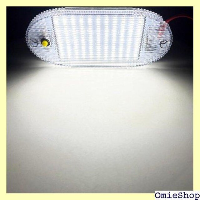 Kazuki [v LED zCg ԓƖ sO Ǝ D egCg ʔ 4 314  /oCN
