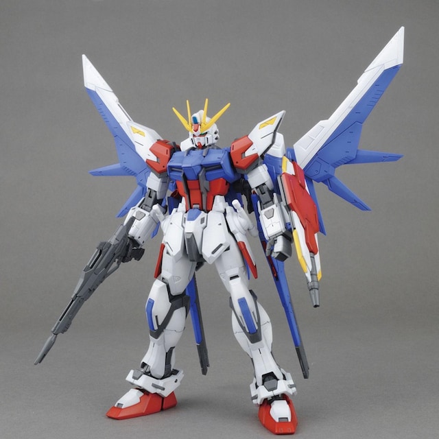 MG 1/100 rhXgCNK_ tpbP[W  zr[ 