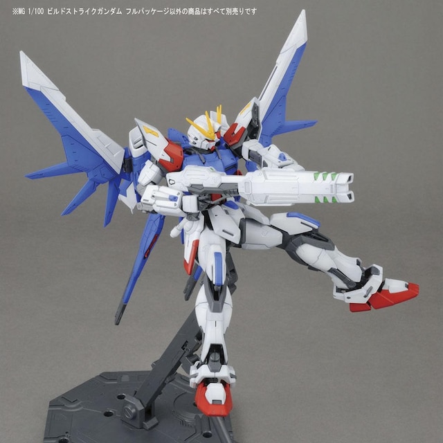 MG 1/100 rhXgCNK_ tpbP[W  zr[ 