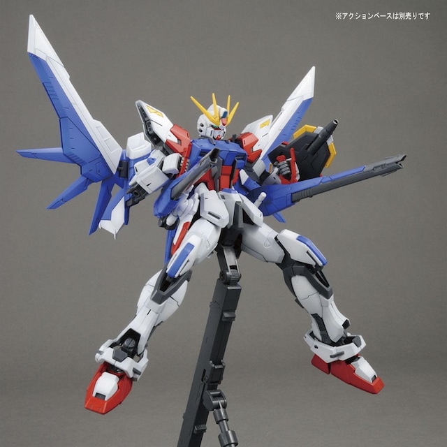 MG 1/100 rhXgCNK_ tpbP[W  zr[ 