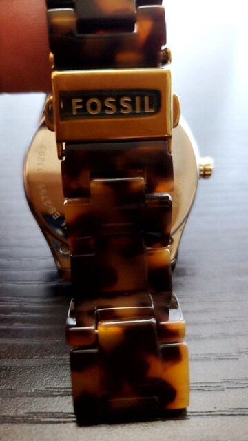 i FOSSILtHbV ׂb rv !Ob`fB[[^OzC[W[VbNJVIAebTR[`