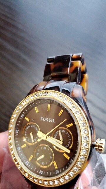 i FOSSILtHbV ׂb rv !Ob`fB[[^OzC[W[VbNJVIAebTR[`