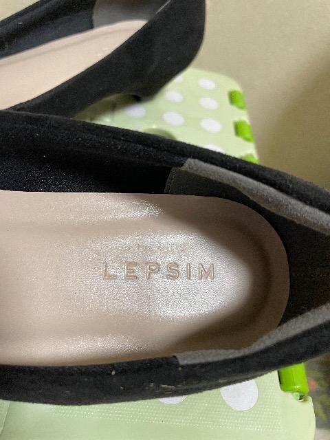 Vigp:LEPSIM:pvX