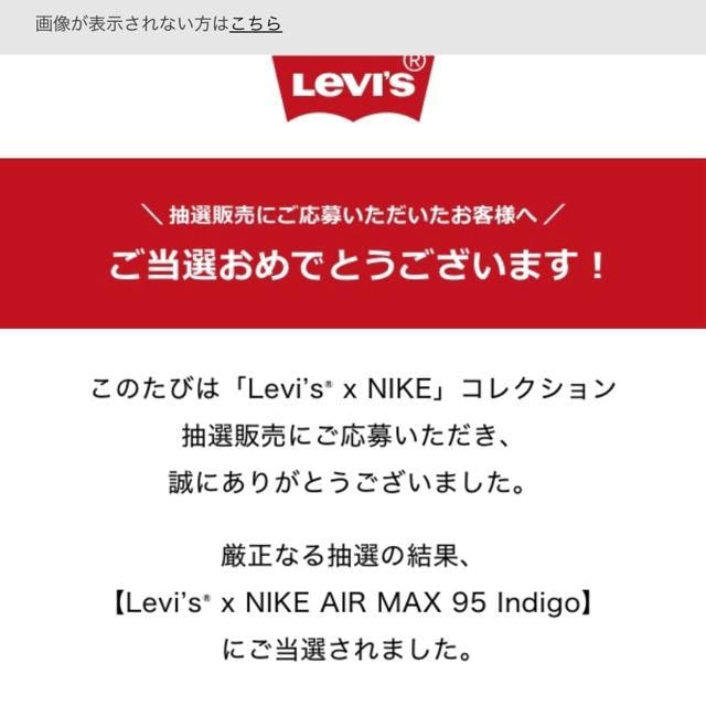 27cm Levi's ~ Nike Air Max 95 OG "Denim Blue"  uh 