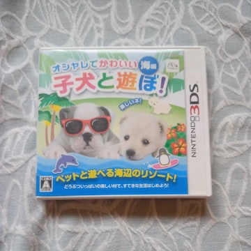 3DS pIVł킢qƗVځIC
