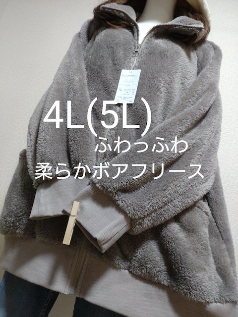 Vi^O4L(5L)ӂӂ큚{At[X_炩   t@bV 