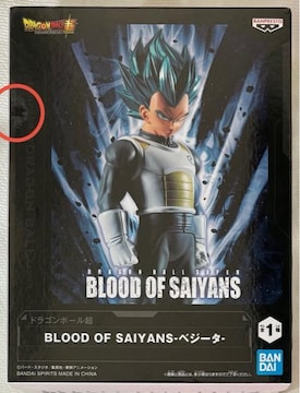 hS{[ BLOOD OF SAIYANS xW[^