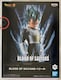 hS{[ BLOOD OF SAIYANS xW[^