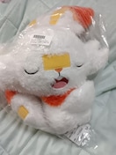 qoj[A났^Cʂ