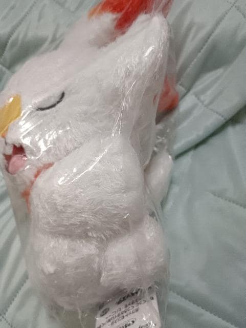 qoj[A났^Cʂ   