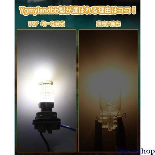 Ygmylandbb S25 LED VO ou [H{fB[ DC12Vԗp F 2Zbg 511  /oCN