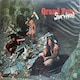 SURVIVAL / GRAND FUNK