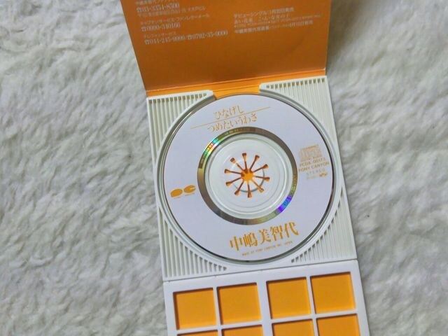CDs q ЂȂ '91/4 1/2MED  ^gObY 